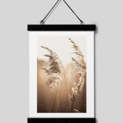 custom canvas prints portraits